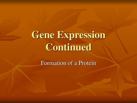 Gene Expression Continued