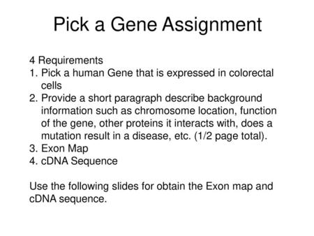 Pick a Gene Assignment 4 Requirements