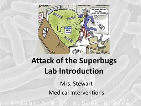 Attack of the Superbugs Lab Introduction