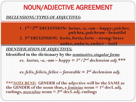 NOUN/ADJECTIVE AGREEMENT