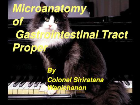 Microanatomy of Gastrointestinal Tract Proper