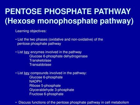 PENTOSE PHOSPHATE PATHWAY (Hexose monophosphate pathway)