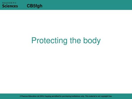 Protecting the body © Pearson Education Ltd 2016. Copying permitted for purchasing institutions only. This material is not copyright free.