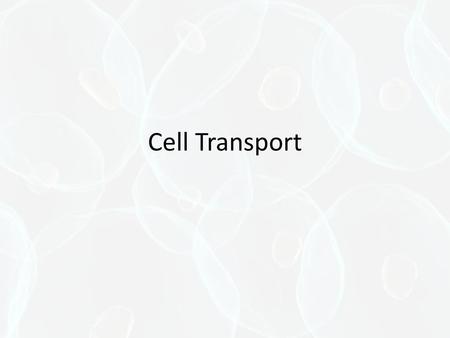 Cell Transport.