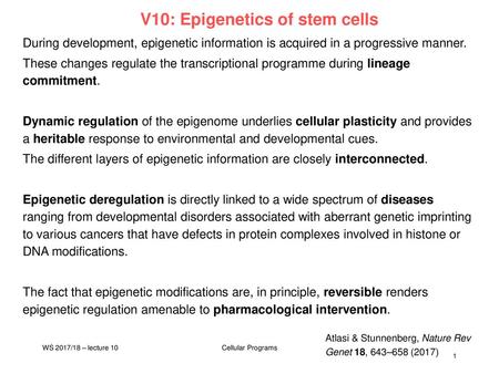 V10: Epigenetics of stem cells