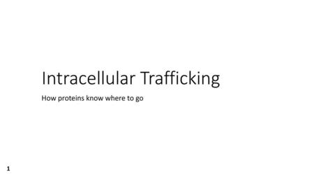 Intracellular Trafficking