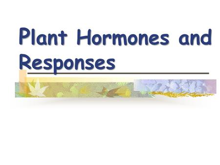 Plant Hormones and Responses