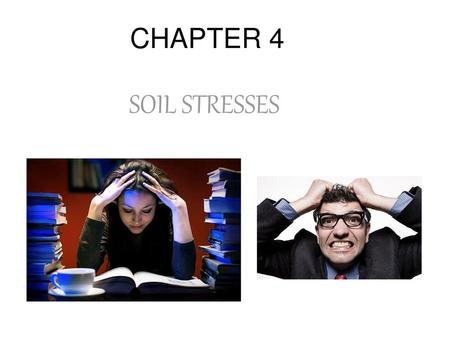 CHAPTER 4 SOIL STRESSES.