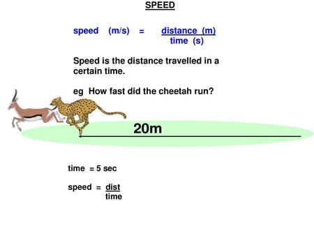 ? The slope tells us the speed Run into a jungle Stop for 5 sec Walk backwards The slope tells us the speed.