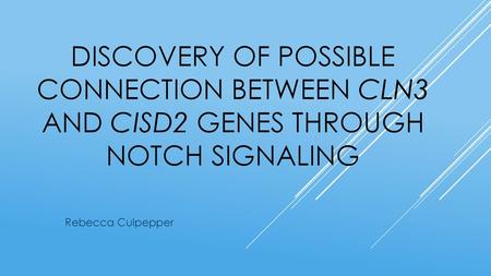 Discovery of possible connection between cln3 and cisd2 genes through notch signaling My proposal is to determine if there is a possible connection between.