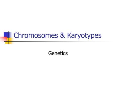 Chromosomes & Karyotypes