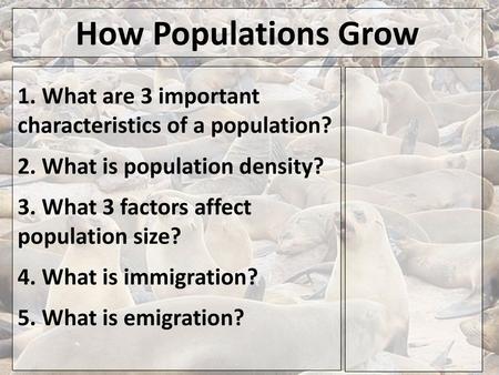 How Populations Grow 1. What are 3 important characteristics of a population? 2. What is population density? 3. What 3 factors affect population size?