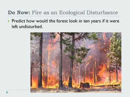 Do Now: Fire as an Ecological Disturbance