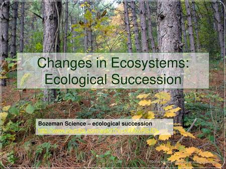 Changes in Ecosystems: Ecological Succession