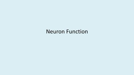 Neuron Function.