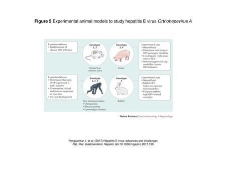 Nat. Rev. Gastroenterol. Hepatol. doi: /nrgastro