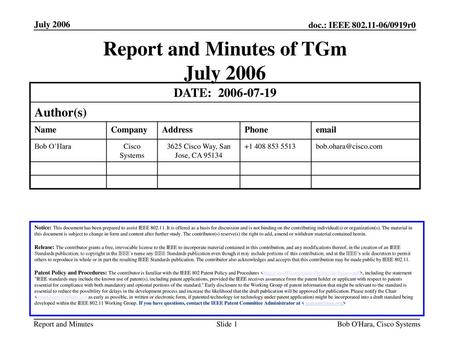 Report and Minutes of TGm July 2006