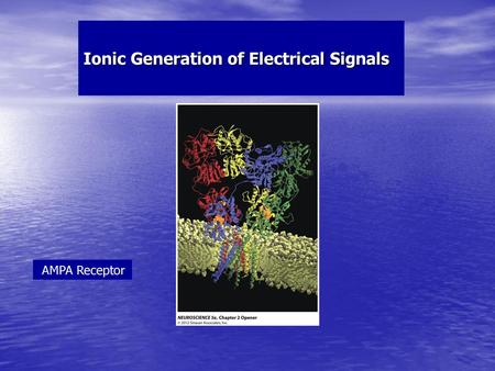 Ionic Generation of Electrical Signals