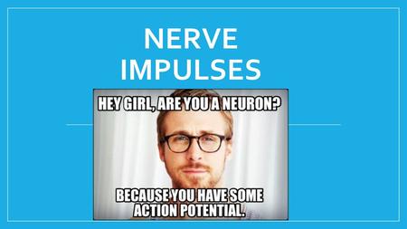 Nerve Impulses.