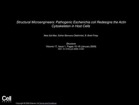 Structural Microengineers: Pathogenic Escherichia coli Redesigns the Actin Cytoskeleton in Host Cells  Neta Sal-Man, Esther Biemans-Oldehinkel, B. Brett.