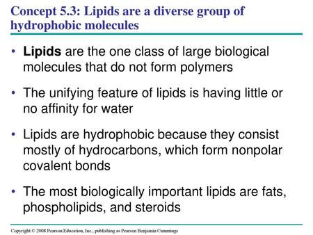 Concept 5.3: Lipids are a diverse group of hydrophobic molecules