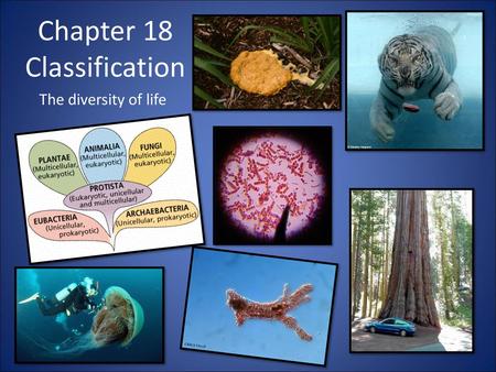 Chapter 18 Classification