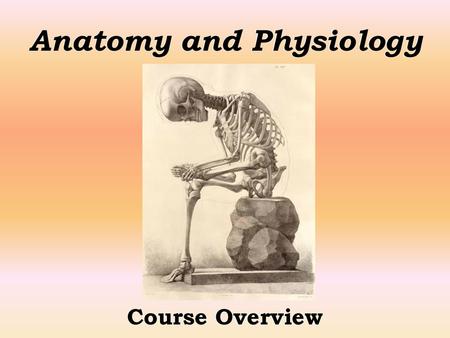 Anatomy and Physiology