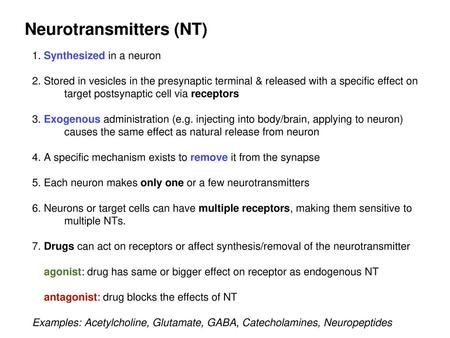 Neurotransmitters (NT)