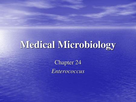 Medical Microbiology Chapter 24 Enterococcus.