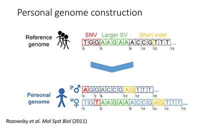 Personal genome construction