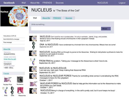 NUCLEUS is “The Boss of the Cell”