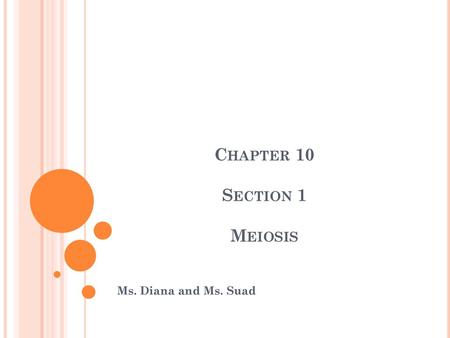 Chapter 10 Section 1 Meiosis