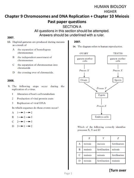 Chapter 9 Chromosomes and DNA Replication + Chapter 10 Meiosis