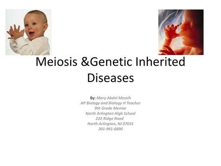 Meiosis &Genetic Inherited Diseases