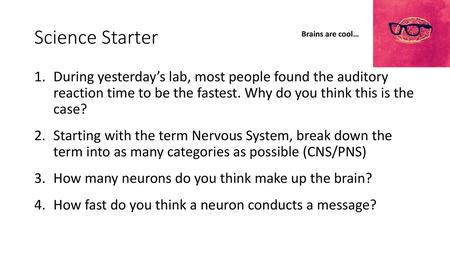 Science Starter Brains are cool…