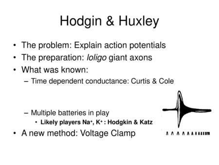 Hodgin & Huxley The problem: Explain action potentials