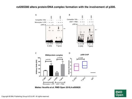 rs alters protein/DNA complex formation with the involvement of p300.