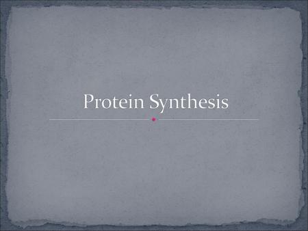 Protein Synthesis.