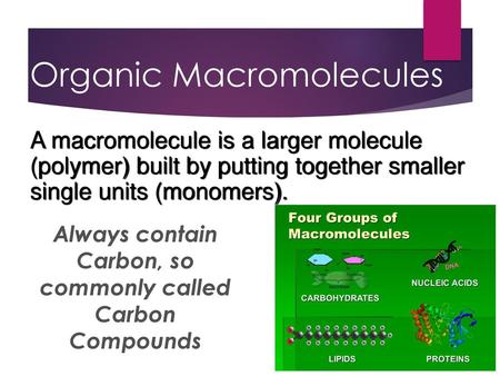 Organic Macromolecules