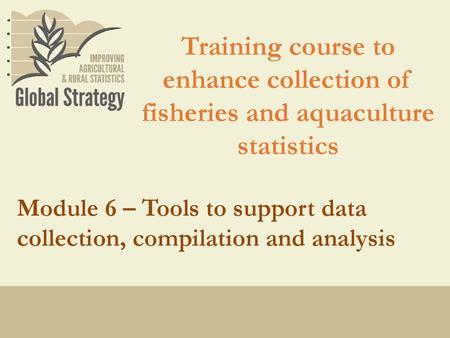 Training course to enhance collection of fisheries and aquaculture statistics Module 6 – Tools to support data collection, compilation and analysis.