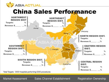 China Sales Performance