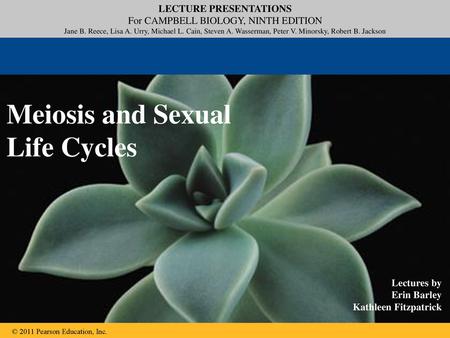 Meiosis and Sexual  Life Cycles