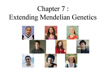 Chapter 7 : Extending Mendelian Genetics.