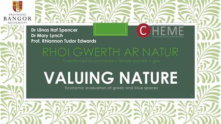 Rhoi gwerth ar natur Valuing Nature