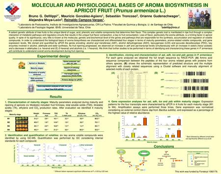 MOLECULAR AND PHYSIOLOGICAL BASES OF AROMA BIOSYNTHESIS IN APRICOT FRUIT (Prunus armeniaca L.) Bruno G. Defilippi1*, Mauricio González-Agüero1, Sebastián.