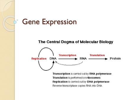 Gene Expression.