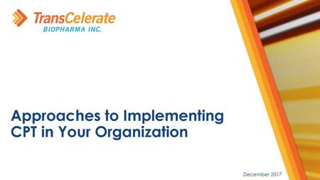 Approaches to Implementing CPT in Your Organization