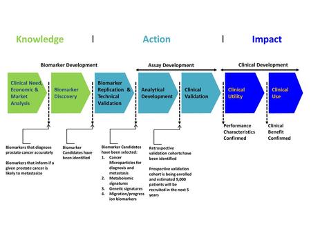 Knowledge l Action l Impact