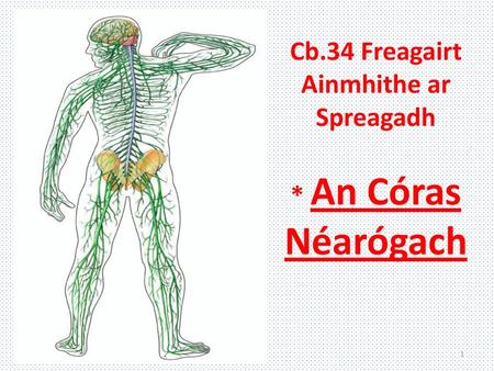 Cb.34 Freagairt Ainmhithe ar Spreagadh * An Córas Néarógach