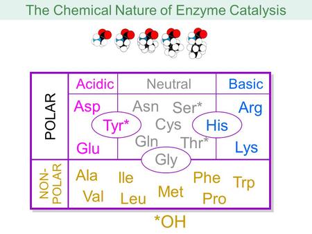 The Chemical Nature of Enzyme Catalysis